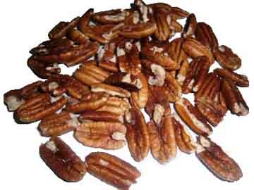 pecan nut